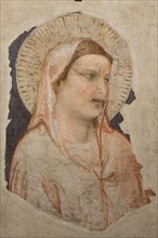 Giotto: 'Grieving Madonna'