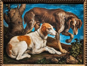 “Portrait of two dogs tied to a log”, by Jacopo Bassano