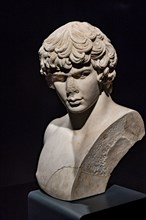 “Bust of Antinous”