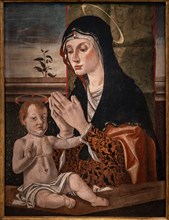 “Madonna with infant Jesus”, by Bartolomeo Montagna