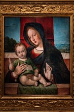 “Madonna with infant Jesus”, by Bartolomeo Montagna