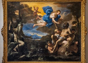 “Aeneas made immortal by Venus”, by Luca Giordano