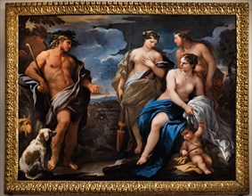 “The Judgment of Paris”, by Luca Giordano