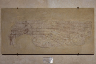 Sinopia di figura femminile tratta dallo “Sposalizio della Vergine”, di Domenico Veneziano,