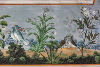 Palermo, Palazzo Reale o Palazzo dei Normanni, Appartamento Reale, Sala   degli Uccell, volta