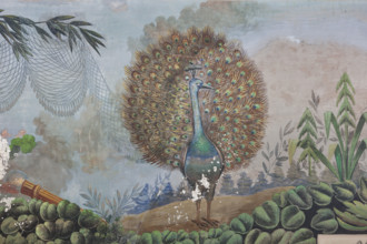 Palermo, Palazzo Reale o Palazzo dei Normanni, Appartamento Reale, Sala   degli Uccell, volta