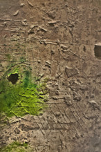 Palermo, The Royal Palace or Palazzo dei Normanni (Palace of the Normans), the Montalto wing, the