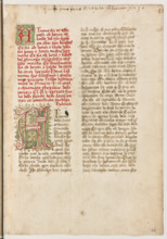 Erbario di Trento (Manoscritto n° 1591), XVI secolo, carta 44 recto.

[ENG]
Herbarium of Trento