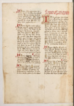 Erbario di Trento (Manoscritto n° 1591), XVI secolo, carta 47 verso.

[ENG]
Herbarium of Trento