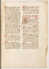 Erbario di Trento (Manoscritto n° 1591), XVI secolo, carta 48 recto.

[ENG]
Herbarium of Trento
