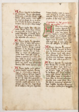 Erbario di Trento (Manoscritto n° 1591), XVI secolo, carta 50 verso.

[ENG]
Herbarium of Trento