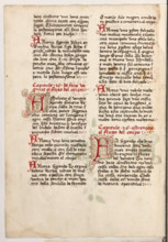 Erbario di Trento (Manoscritto n° 1591), XVI secolo, carta 53 verso.

[ENG]
Herbarium of Trento