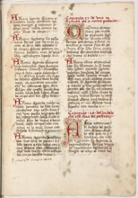 Erbario di Trento (Manoscritto n° 1591), XVI secolo, carta 54 recto.

[ENG]
Herbarium of Trento