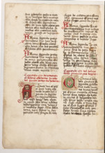 Erbario di Trento (Manoscritto n° 1591), XVI secolo, carta 60 verso.

[ENG]
Herbarium of Trento