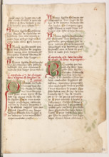 Erbario di Trento (Manoscritto n° 1591), XVI secolo, carta 63 recto.

[ENG]
Herbarium of Trento