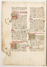 Erbario di Trento (Manoscritto n° 1591), XVI secolo, carta 63 verso.

[ENG]
Herbarium of Trento