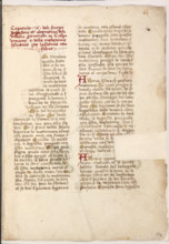 Erbario di Trento (Manoscritto n° 1591), XVI secolo, carta 64 recto.

[ENG]
Herbarium of Trento
