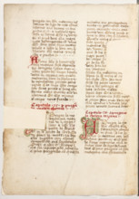 Erbario di Trento (Manoscritto n° 1591), XVI secolo, carta 64 verso.

[ENG]
Herbarium of Trento