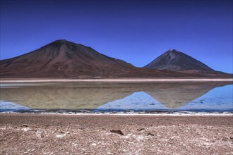Laguna blanca, désert d'Atacama, Bolivie