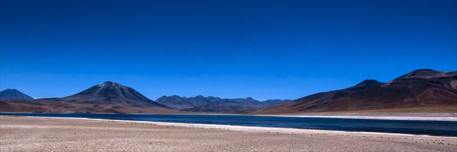 Lagon de Miscanti, désert d'Atacama, Chili