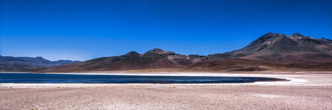 Miscanti lagoon, Atacama desert, Chili