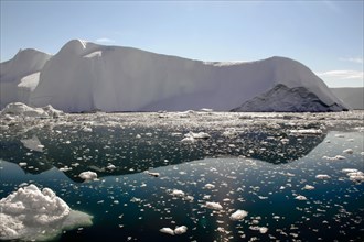 Iceberg et morceaux de glace au Groenland