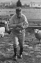 Farmer Carrying Baby Lamb