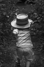 Young Boy With Large Hat Running in Garden, Rear View