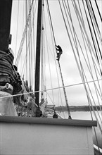 Sailor Climbing Rigging on Schooner