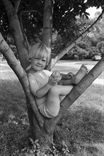 Young Boy With Apple Sitting in Tree