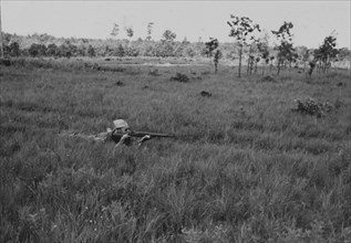 Soldier Laying Down While Displaying Proper Shooting Position in Field During Training Session, WWII, 2nd Battalion, 389th Infantry, US Army Military Base Indiana, USA, 1942