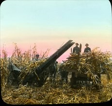 Farmers Harvesting and Loading Silage Corn, Wisconsin, USA, Magic Lantern Slide, circa 1915