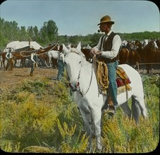 Cowboys, Bronco Corral and Camps, Montana, USA, Magic Lantern Slide, circa 1910