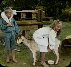 Girl Milking Goat, Australia, Magic Lantern Slide, circa 1910