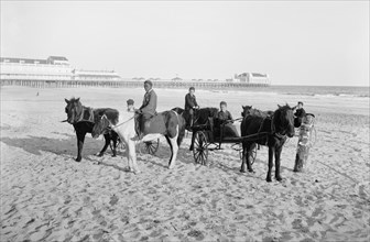 Ponies on Beach, Atlantic City, New Jersey, USA,Detroit Publishing Company, 1900