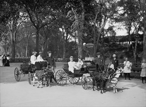 Children Riding in Goat Carriages, Central Park, New York City, New York, USA, Detroit Publishing Company, 1904