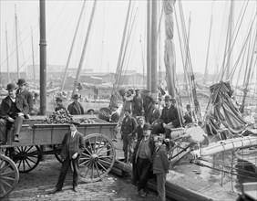 Workers Unloading Oyster Luggers, Baltimore, Maryland, USA, Detroit Publishing Company, 1905