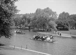 Swan boats, Public Gardens, Boston, Massachusetts, USA, Detroit Publishing Company, 1905