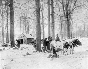 Men At Work in Maple Sugar Camp, USA, Detroit Publishing Company, 1905