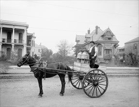 Man Riding Milk Cart, New Orleans, Louisiana, USA, Detroit Publishing Company, 1905
