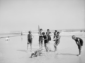 Group of Boys with Bulldog on Beach, USA, Detroit Publishing Company, 1905