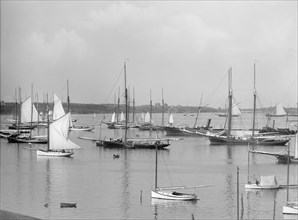 Fleet of New York Yacht Club, Newport Harbor, Newport, Rhode Island, USA, Detroit Publishing Company, 1895