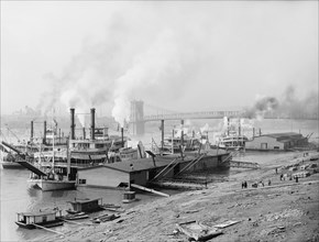 Riverboats and Activity Along Levee, Cincinnati, Ohio, USA, Detroit Publishing Company, 1907