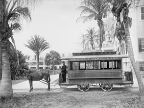 Trolley, Palm Beach, Florida, USA, Detroit Publishing Company, 1905