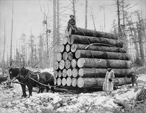 Load of Logs Being Pulled by Two Horses in Winter, USA, Detroit Publishing Company, 1908