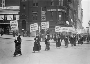 Suffragettes Marching with Signs, Washington DC, USA, Harris & Ewing, 1917