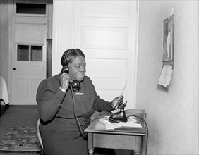 Mary McLeod Bethune, Portrait while Director of the Division of Negro Affairs, National Youth Association, Harris & Ewing, 1938