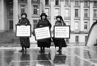 Protestors with Signs, In Memory of Irish Martyrs Slain by American Loans to England, etc., Washington DC, USA, Harris & Ewing, 1915