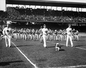 Marching Band During Georgetown University Football Game, Washington DC, USA, Harris & Ewing, 1923