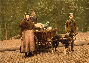 Milk Sellers, Brussels, Belgium, Photochrome, Detroit Publishing Company, 1900